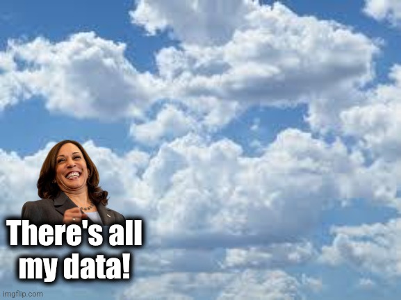 Cloudy with a 100% chance of stupidity | There's all
my data! | image tagged in clouds,memes,kamala harris,cloud data storage,idiot,democrats | made w/ Imgflip meme maker