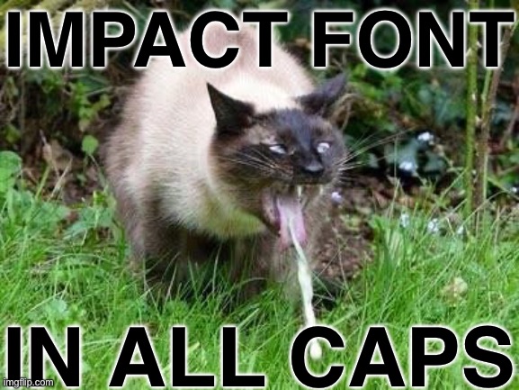 Cat Barfing | IMPACT FONT; IN ALL CAPS | image tagged in cat barfing | made w/ Imgflip meme maker