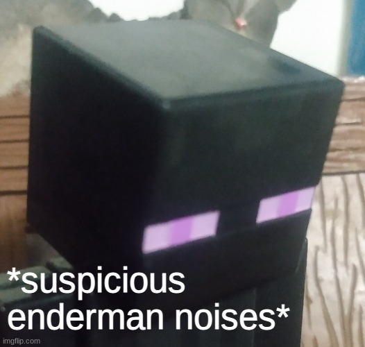 Enderman stare | *suspicious enderman noises* | image tagged in enderman stare | made w/ Imgflip meme maker