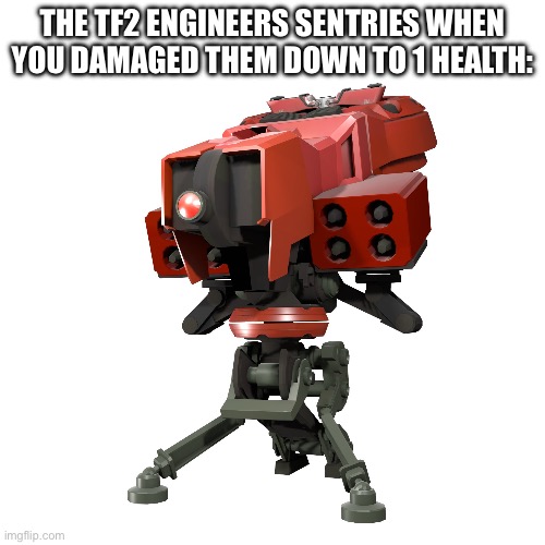 Guess the scout’s screwed! | THE TF2 ENGINEERS SENTRIES WHEN YOU DAMAGED THEM DOWN TO 1 HEALTH: | image tagged in team fortress 2,gun,funny | made w/ Imgflip meme maker