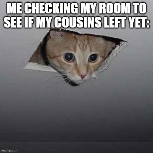 Meme | ME CHECKING MY ROOM TO SEE IF MY COUSINS LEFT YET: | image tagged in memes,ceiling cat | made w/ Imgflip meme maker