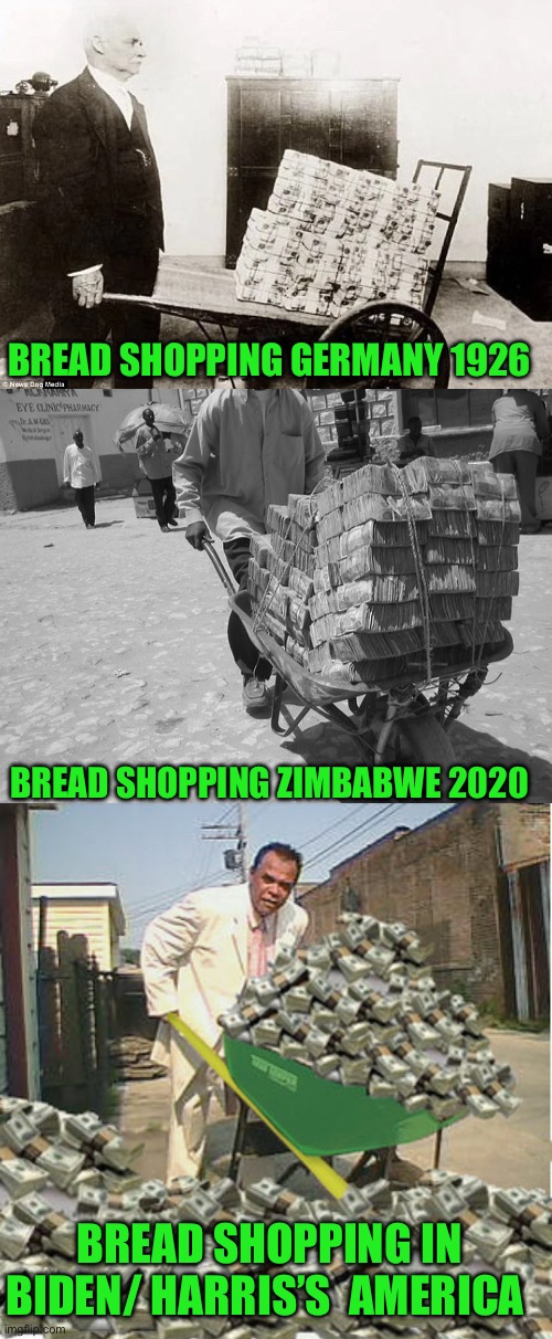 The truth will set you free | BREAD SHOPPING GERMANY 1926; BREAD SHOPPING ZIMBABWE 2020; BREAD SHOPPING IN BIDEN/ HARRIS’S  AMERICA | image tagged in democrats | made w/ Imgflip meme maker