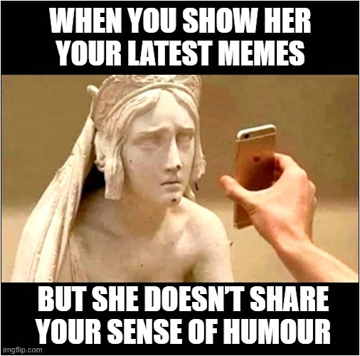 That Annoying Stoney Face Look ! | WHEN YOU SHOW HER
YOUR LATEST MEMES; BUT SHE DOESN’T SHARE
YOUR SENSE OF HUMOUR | image tagged in statue,memes,humour | made w/ Imgflip meme maker