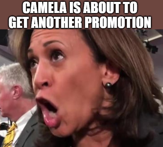 relax your jaw and make eye contact | CAMELA IS ABOUT TO GET ANOTHER PROMOTION | image tagged in political humor,stupid liberals,funny memes,donald trump approves,political meme | made w/ Imgflip meme maker