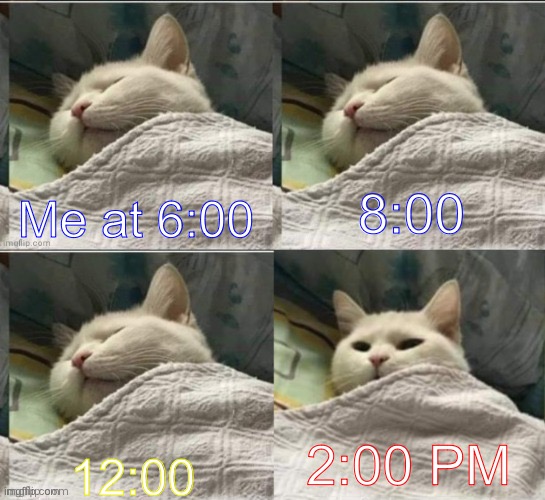 My internal clock is set for the wrong time | 8:00; Me at 6:00; 2:00 PM; 12:00 | image tagged in cat sleeping uder blanket blank | made w/ Imgflip meme maker