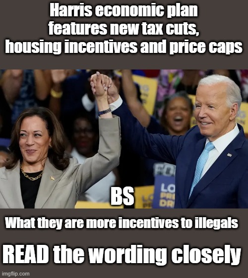 The tag team lies have begun.. | Harris economic plan features new tax cuts, housing incentives and price caps; BS; What they are more incentives to illegals; READ the wording closely | made w/ Imgflip meme maker