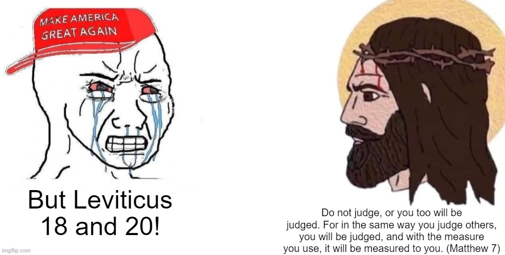 Republican and Jesus | Do not judge, or you too will be judged. For in the same way you judge others, you will be judged, and with the measure you use, it will be measured to you. (Matthew 7); But Leviticus 18 and 20! | image tagged in republican and jesus,homophobic,homophobia,bible,maga | made w/ Imgflip meme maker