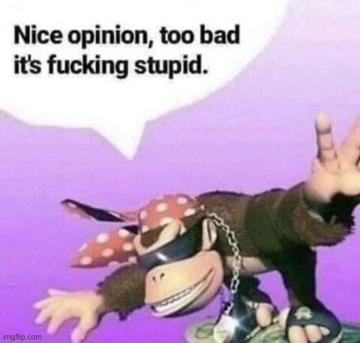 nice opinion | image tagged in nice opinion | made w/ Imgflip meme maker