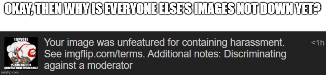OKAY, THEN WHY IS EVERYONE ELSE'S IMAGES NOT DOWN YET? | made w/ Imgflip meme maker
