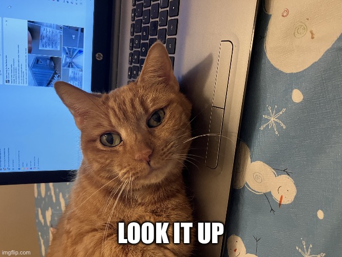 Look it up | LOOK IT UP | image tagged in look it up | made w/ Imgflip meme maker