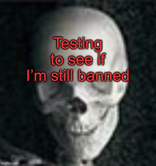 . | Testing to see if I’m still banned | image tagged in skull | made w/ Imgflip meme maker