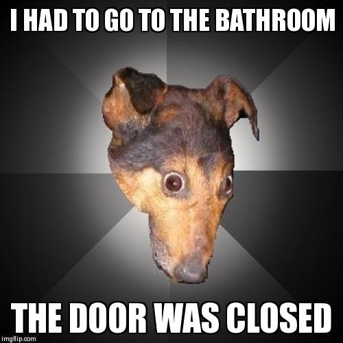 Depression Dog Meme | image tagged in memes,depression dog | made w/ Imgflip meme maker