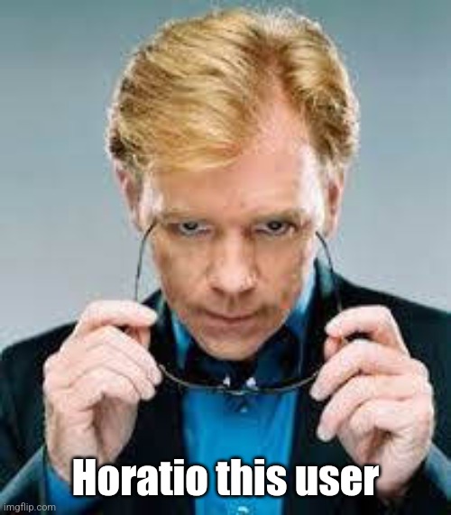 horatio caine | Horatio this user | image tagged in horatio caine | made w/ Imgflip meme maker