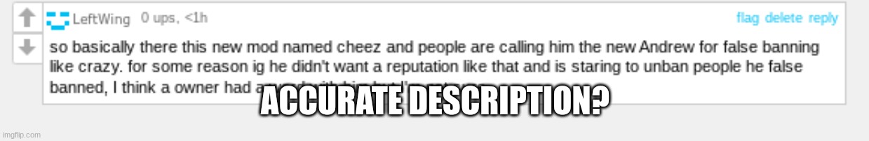 ACCURATE DESCRIPTION? | made w/ Imgflip meme maker