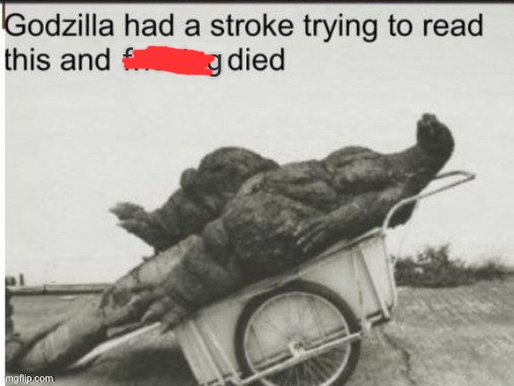 image tagged in godzilla had a stroke trying to read this and fricking died | made w/ Imgflip meme maker