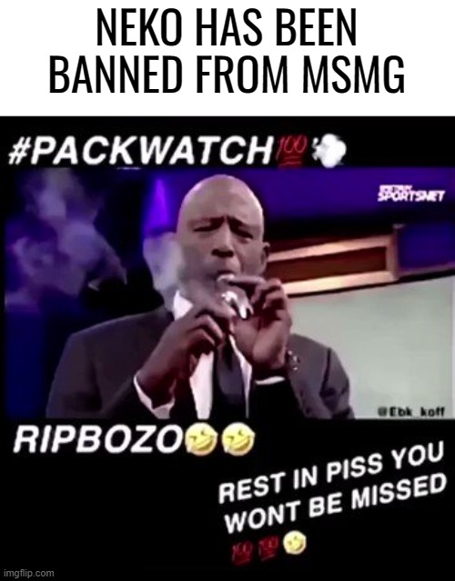 Rest in piss you won't be missed | NEKO HAS BEEN BANNED FROM MSMG | image tagged in rest in piss you won't be missed | made w/ Imgflip meme maker