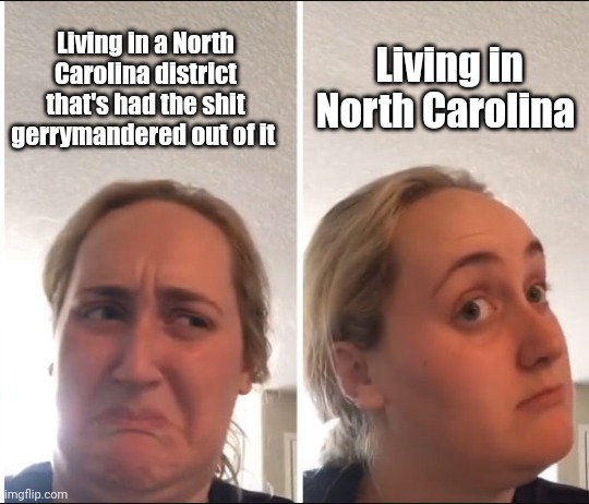 Kombucha Girl | Living in North Carolina; Living in a North Carolina district that's had the shit gerrymandered out of it | image tagged in kombucha girl | made w/ Imgflip meme maker