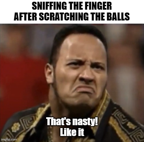 Rock Sniffing | SNIFFING THE FINGER AFTER SCRATCHING THE BALLS; That's nasty!
Like it | image tagged in rock | made w/ Imgflip meme maker