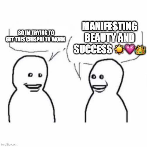 Brain rot slideshow | MANIFESTING BEAUTY AND SUCCESS ☀️💗👑; SO IM TRYING TO GET THIS CRISPRI TO WORK | image tagged in brain rot slideshow | made w/ Imgflip meme maker