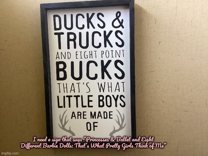 Wall Sign (Bedroom) | I need a sign that says “Princesses & Ballet and Eight Different Barbie Dolls: That’s What Pretty Girls Think of Me” | image tagged in princess,ballet,ballerina,barbie,girls,pretty girl | made w/ Imgflip meme maker