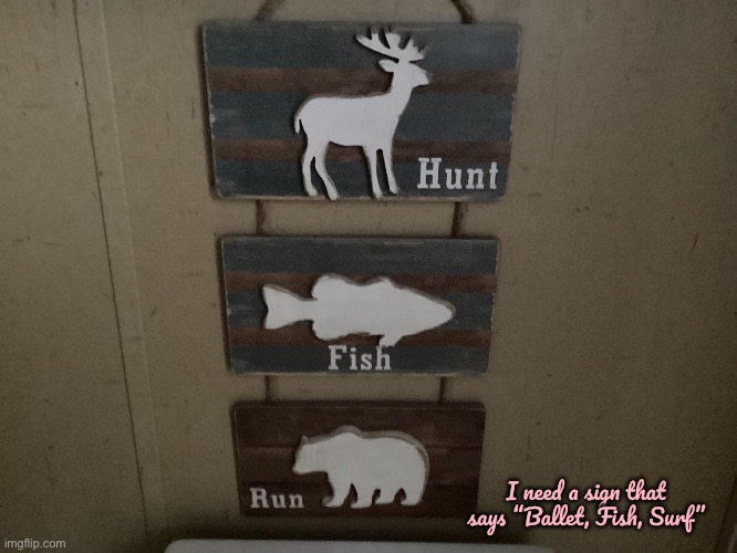 Wall Sign (Bedroom) (V.2) | I need a sign that says “Ballet, Fish, Surf” | image tagged in ballet,ballerina,fishing,fish,surf,surfing | made w/ Imgflip meme maker