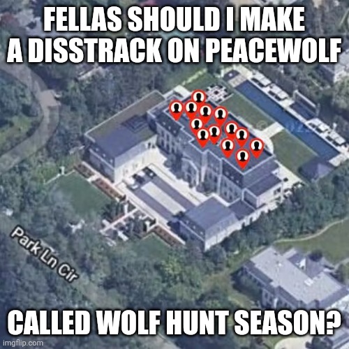 plannin on makin a disstrack fellas! | FELLAS SHOULD I MAKE A DISSTRACK ON PEACEWOLF; CALLED WOLF HUNT SEASON? | image tagged in not like us - kendrick lamar,anti furry | made w/ Imgflip meme maker