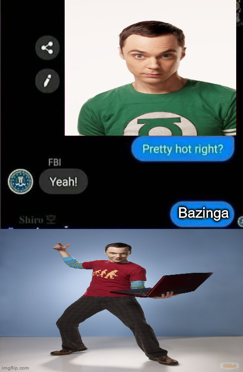 The whole FBI is going to jail | Bazinga | image tagged in the whole fbi is going to jail | made w/ Imgflip meme maker