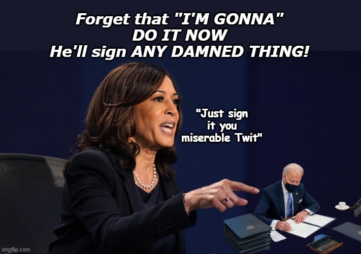 The Strumpet releases her Economic Agenda | Forget that "I'M GONNA"
DO IT NOW
He'll sign ANY DAMNED THING! "Just sign it you miserable Twit" | image tagged in kamala economic meme | made w/ Imgflip meme maker