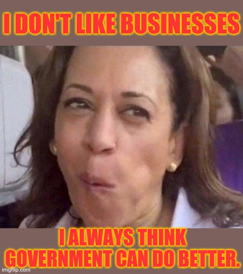 Isn't This What Price Controls Really Say? | I DON'T LIKE BUSINESSES; I ALWAYS THINK GOVERNMENT CAN DO BETTER. | image tagged in kamala harris,government,always,better,policy,memes | made w/ Imgflip meme maker