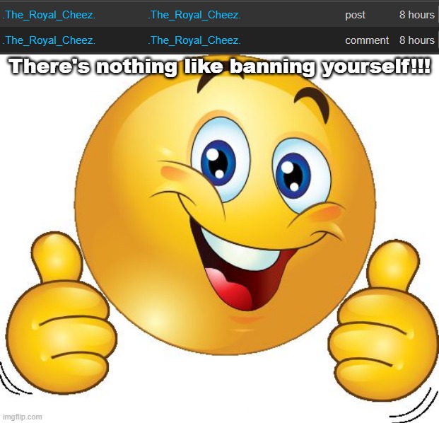 There's nothing like banning yourself!!! | image tagged in thumbs up emoji | made w/ Imgflip meme maker