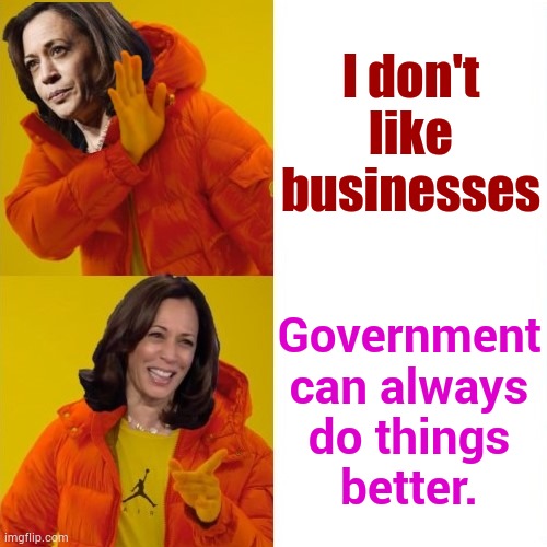 But Isn't This What Price Controls Really Say? | I don't like businesses; Government can always do things better. | image tagged in kamala harris hotline bling,price,control,what i really do,memes,politics | made w/ Imgflip meme maker