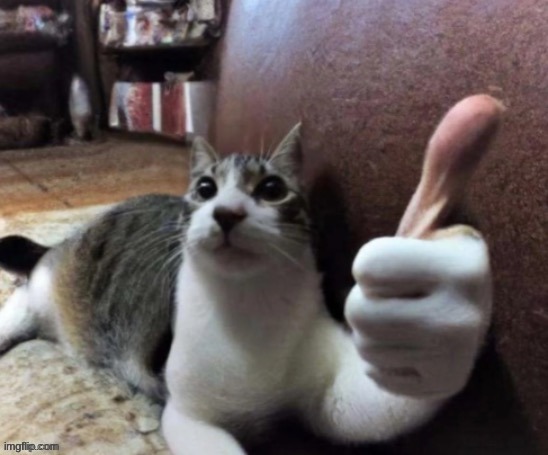 a mod said my last image wasn't good enough, so I'm back with more | image tagged in cursed image,cats,thumbs up,sad cat thumbs up,memes | made w/ Imgflip meme maker