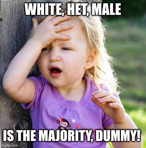 duh | WHITE, HET, MALE IS THE MAJORITY, DUMMY! | image tagged in duh | made w/ Imgflip meme maker