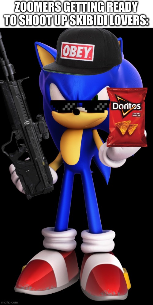 MLG Sonic | ZOOMERS GETTING READY TO SHOOT UP SKIBIDI LOVERS: | image tagged in mlg sonic | made w/ Imgflip meme maker