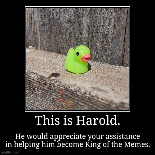 Harold the Tiny Green Duck | This is Harold. | He would appreciate your assistance in helping him become King of the Memes. | image tagged in funny,demotivationals,duck,tiny,cute,king of the memes | made w/ Imgflip demotivational maker