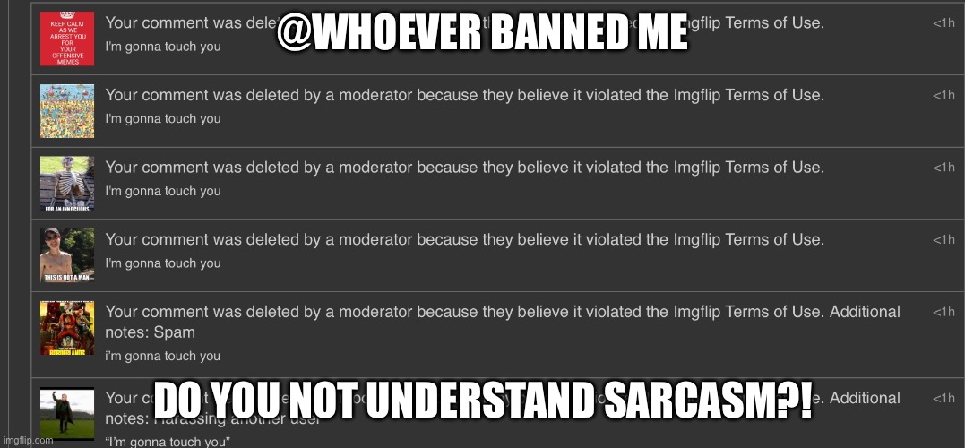 @WHOEVER BANNED ME; DO YOU NOT UNDERSTAND SARCASM?! | made w/ Imgflip meme maker