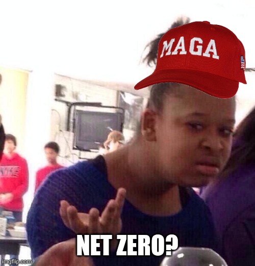 Gross...and net. ..and yet Trump doenst seem to underatand it! So much for a business man! | NET ZERO? | image tagged in memes,black girl wat | made w/ Imgflip meme maker