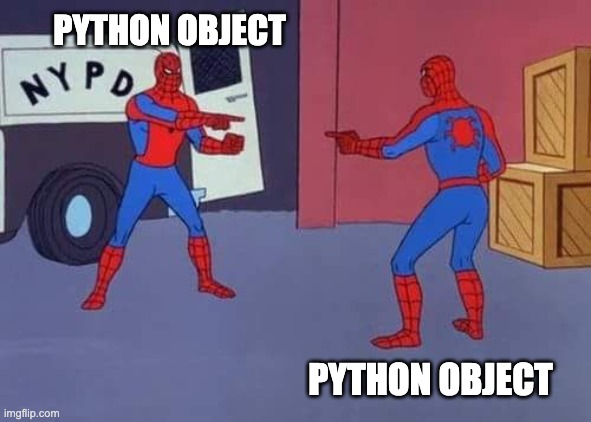 Spiderman mirror | PYTHON OBJECT; PYTHON OBJECT | image tagged in spiderman mirror | made w/ Imgflip meme maker