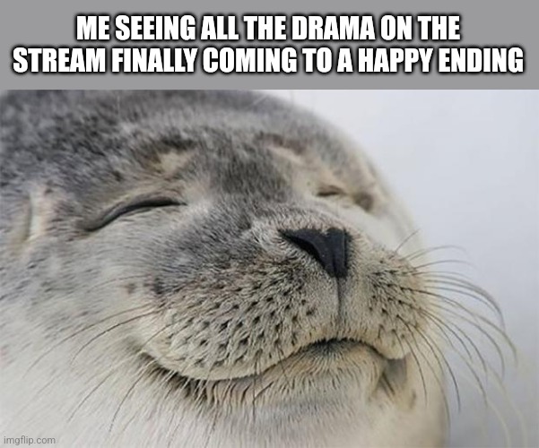 I was worried this would end violently. So glad everything turned out well in the end! | ME SEEING ALL THE DRAMA ON THE STREAM FINALLY COMING TO A HAPPY ENDING | image tagged in memes,satisfied seal,fnaf,drama,thank god,oh wow are you actually reading these tags | made w/ Imgflip meme maker