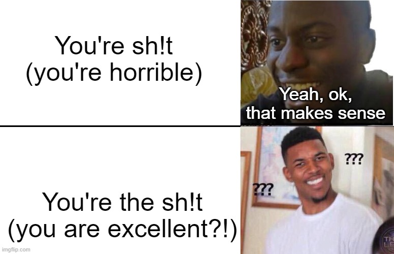 english is so complicated | You're sh!t
(you're horrible); Yeah, ok, that makes sense; You're the sh!t
(you are excellent?!) | image tagged in disappointed black guy,english,language,what,confused confusing confusion,visible confusion | made w/ Imgflip meme maker