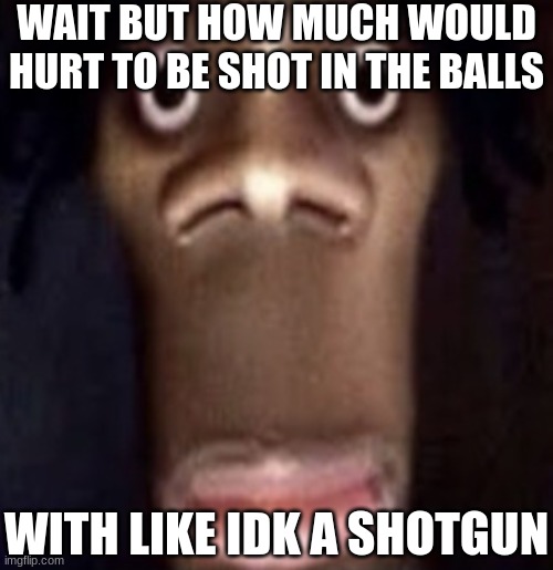 Quandale dingle | WAIT BUT HOW MUCH WOULD HURT TO BE SHOT IN THE BALLS; WITH LIKE IDK A SHOTGUN | image tagged in quandale dingle | made w/ Imgflip meme maker