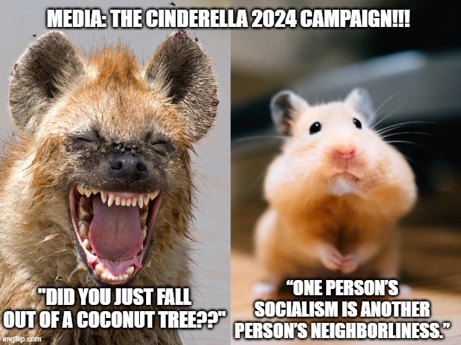 Seems reasonable... | MEDIA: THE CINDERELLA 2024 CAMPAIGN!!! “ONE PERSON’S SOCIALISM IS ANOTHER PERSON’S NEIGHBORLINESS.”; "DID YOU JUST FALL OUT OF A COCONUT TREE??" | image tagged in coconut tree,socialism,neighborliness | made w/ Imgflip meme maker