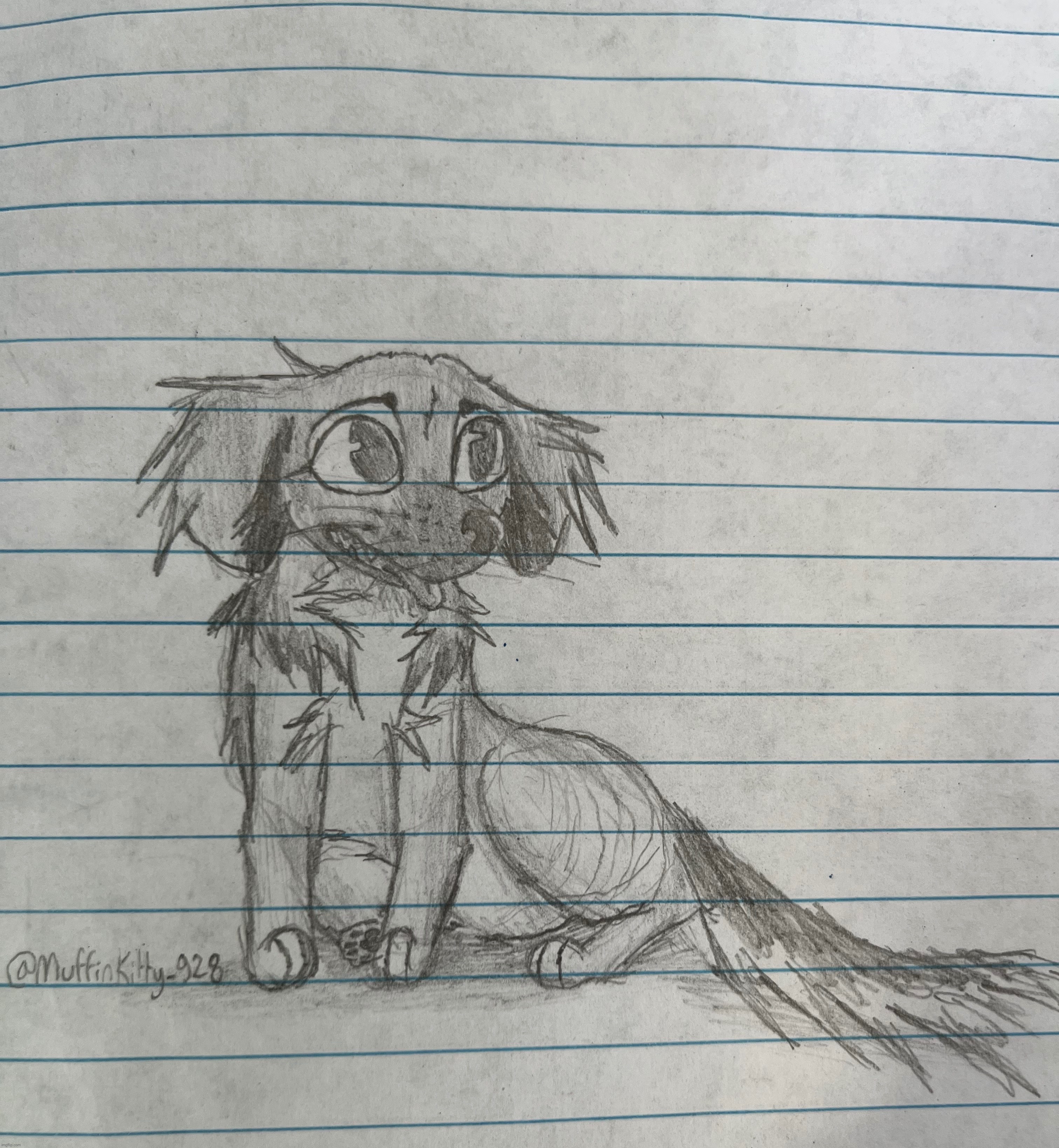 Drawing my dog in Disney style (was a mistake) | image tagged in dogs | made w/ Imgflip meme maker