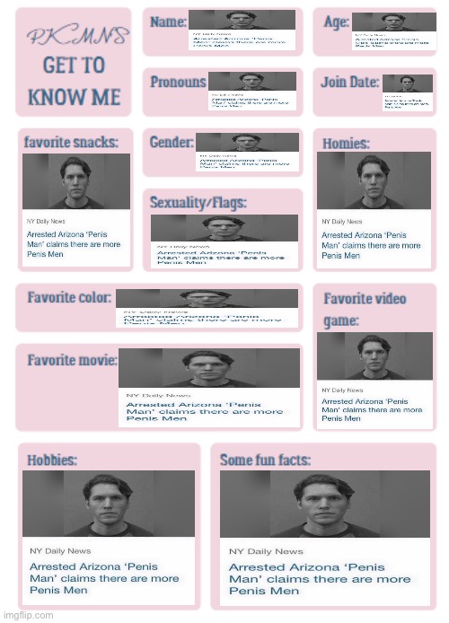 PKMN's Get to Know Me | image tagged in pkmn's get to know me | made w/ Imgflip meme maker