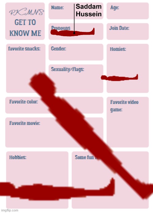 PKMN's Get to Know Me | image tagged in pkmn's get to know me | made w/ Imgflip meme maker