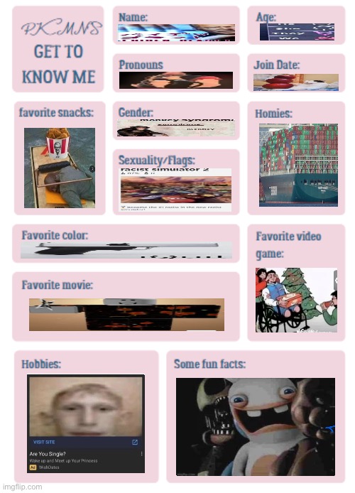 PKMN's Get to Know Me | image tagged in pkmn's get to know me | made w/ Imgflip meme maker