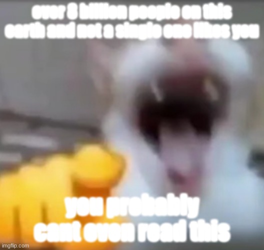 Cat pointing and laughing | over 8 billion people on this earth and not a single one likes you; you probably cant even read this | image tagged in cat pointing and laughing | made w/ Imgflip meme maker