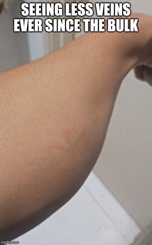 SEEING LESS VEINS EVER SINCE THE BULK | made w/ Imgflip meme maker