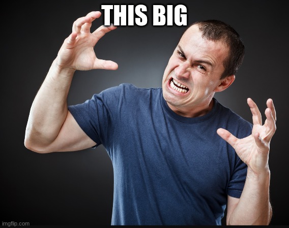 wide hands guy | THIS BIG | image tagged in wide hands guy | made w/ Imgflip meme maker
