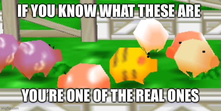 Lil oinks | IF YOU KNOW WHAT THESE ARE; YOU’RE ONE OF THE REAL ONES | image tagged in paper mario | made w/ Imgflip meme maker